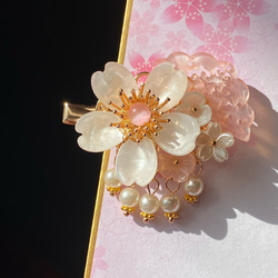 桜扇のヘアクリップ　シェル風白桜 1枚目の画像