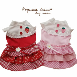 再販/いちごちゃんワンピース・Koguma dress・犬服 ペット服