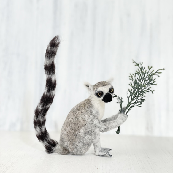 羊毛フェルト　ワオキツネザル 羊毛フェルト ワオキツネザルさん 羊毛フェルト 餡子猫 通販 15366340