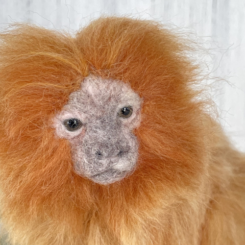 羊毛フェルト ゴールデンライオンタマリン 羊毛フェルト 餡子猫 通販