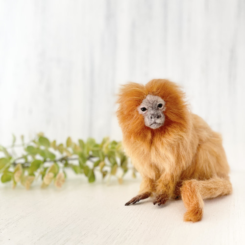羊毛フェルト ゴールデンライオンタマリン 羊毛フェルト 餡子猫 通販