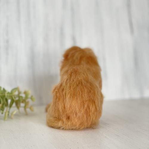 羊毛フェルト ゴールデンライオンタマリン 羊毛フェルト 餡子猫 通販