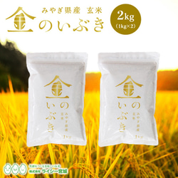 金のいぶき 玄米 お試し 2kg 送料無料 高機能玄米協会認定 宮城県産 令和5年産 1枚目の画像