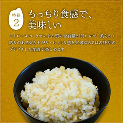 金のいぶき 玄米 お試し 2kg 送料無料 高機能玄米協会認定 宮城県産 令和5年産 4枚目の画像