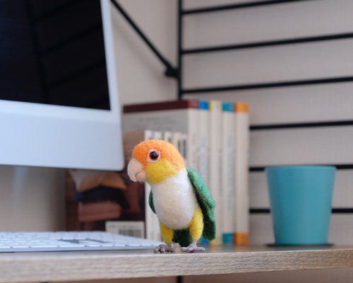 羊毛フェルト☆インコ達の飾り棚☆6羽 0_65ba43ad22d0343f13488982983c
