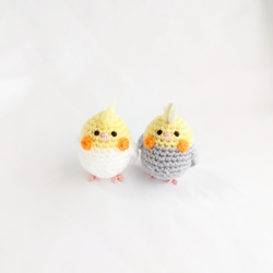 うさまる様ご確認用！あみぐるみ オカメインコのハロウィンリース うさ