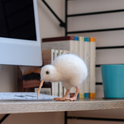 シロハラインコ（羊毛フェルト/フェルトインコ） 立体・オブジェ Bird