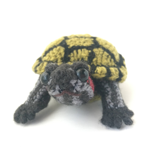 カメ好きが満足！亀のあみぐるみ（アカミミガメ 男の子