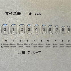 計測用チップ 2枚目の画像