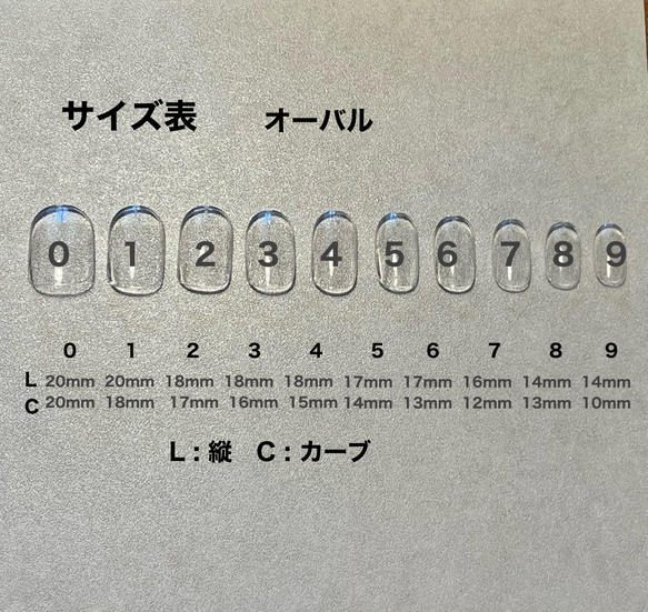 計測用チップ 2枚目の画像