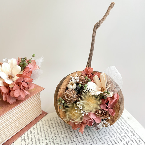 ブッダナッツ 幸せを呼ぶブッダナッツ プレゼント お祝い ドライ