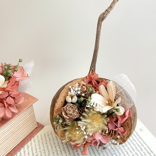 幸せを呼ぶ実 ブッダナッツ(小さめ)【ピンク×水色 ベイビー