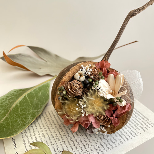 ブッダナッツ 幸せを呼ぶブッダナッツ プレゼント お祝い ドライ