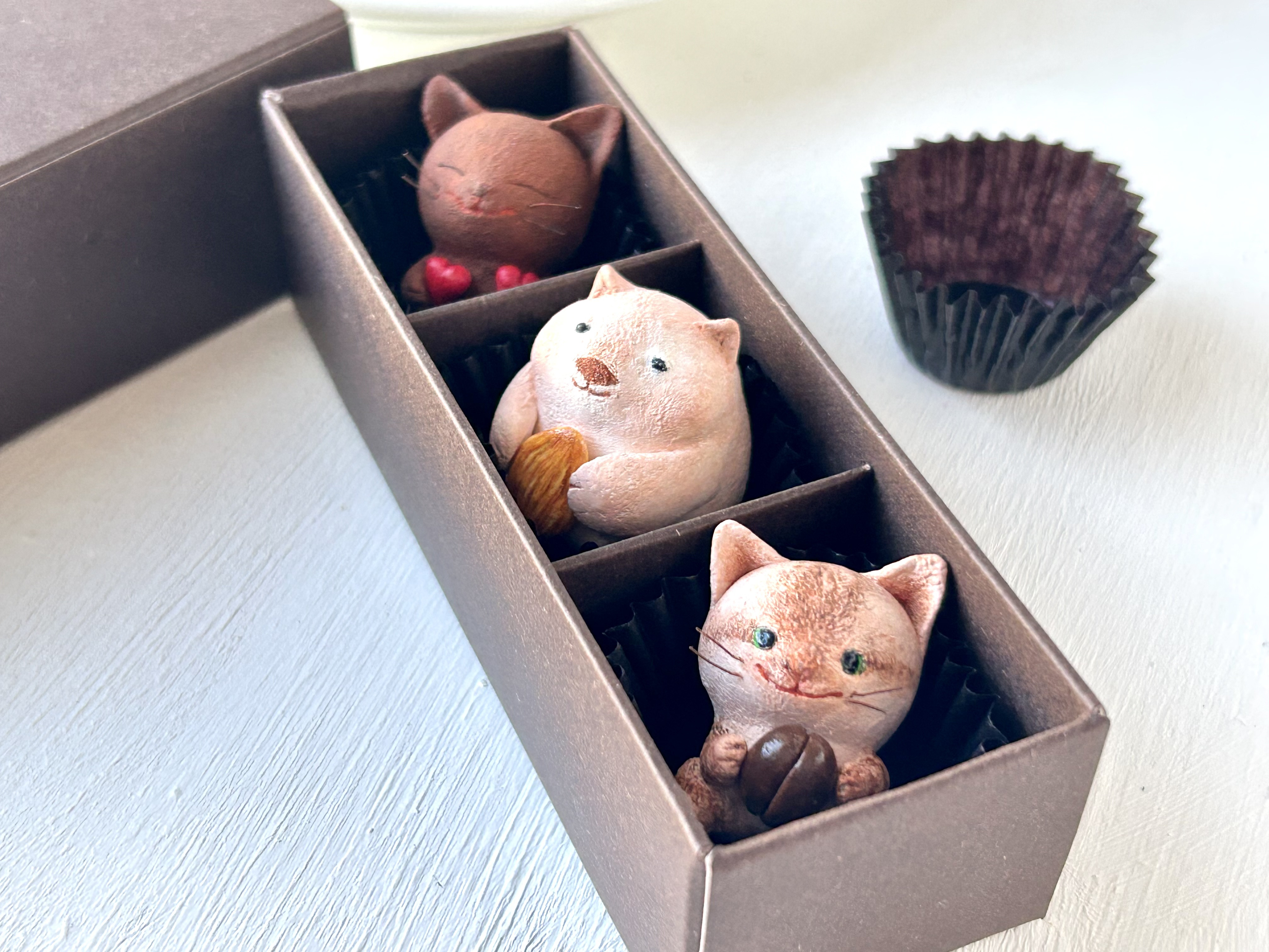 チョコレートみたいなトリオ（猫さん&ウォンバットさん）