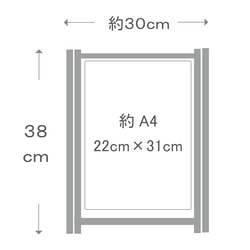  第10張的照片