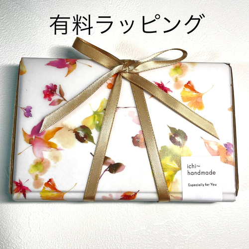 大人な いちご ピアス イヤリング 着せ替え クリア イチゴ