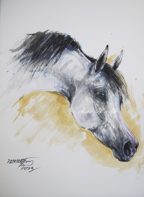 Arabian Horse 2023,Ⅱ（墨絵、厚い和紙３１，５ｃｍ×２３，４ｃｍ、墨、パステル、アクリル） 1枚目の画像