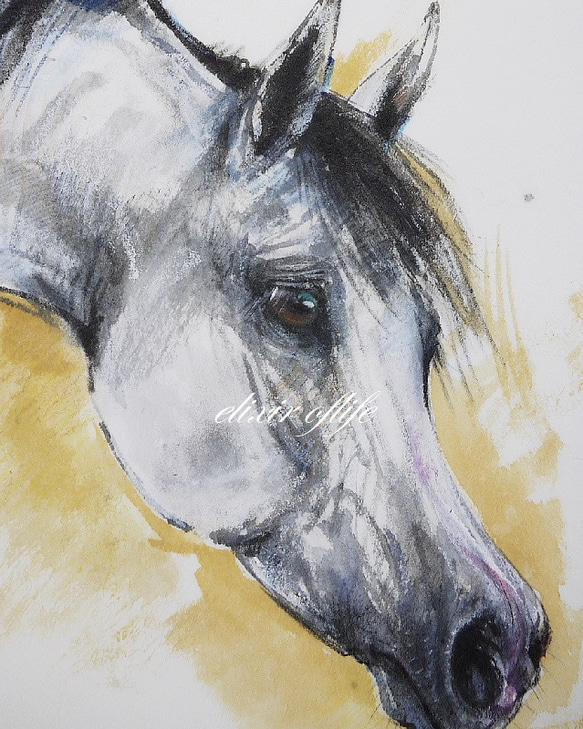 Arabian Horse 2023,Ⅱ（墨絵、厚い和紙３１，５ｃｍ×２３，４ｃｍ、墨、パステル、アクリル） 2枚目の画像