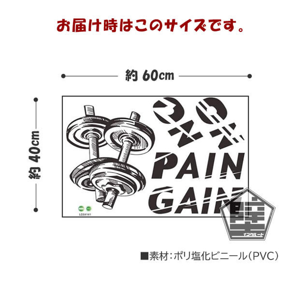 098 壁ステッカー ウォールステッカー 鉄アレイ No pain no gain 痛みなくして得るものなし ジム 4枚目の画像