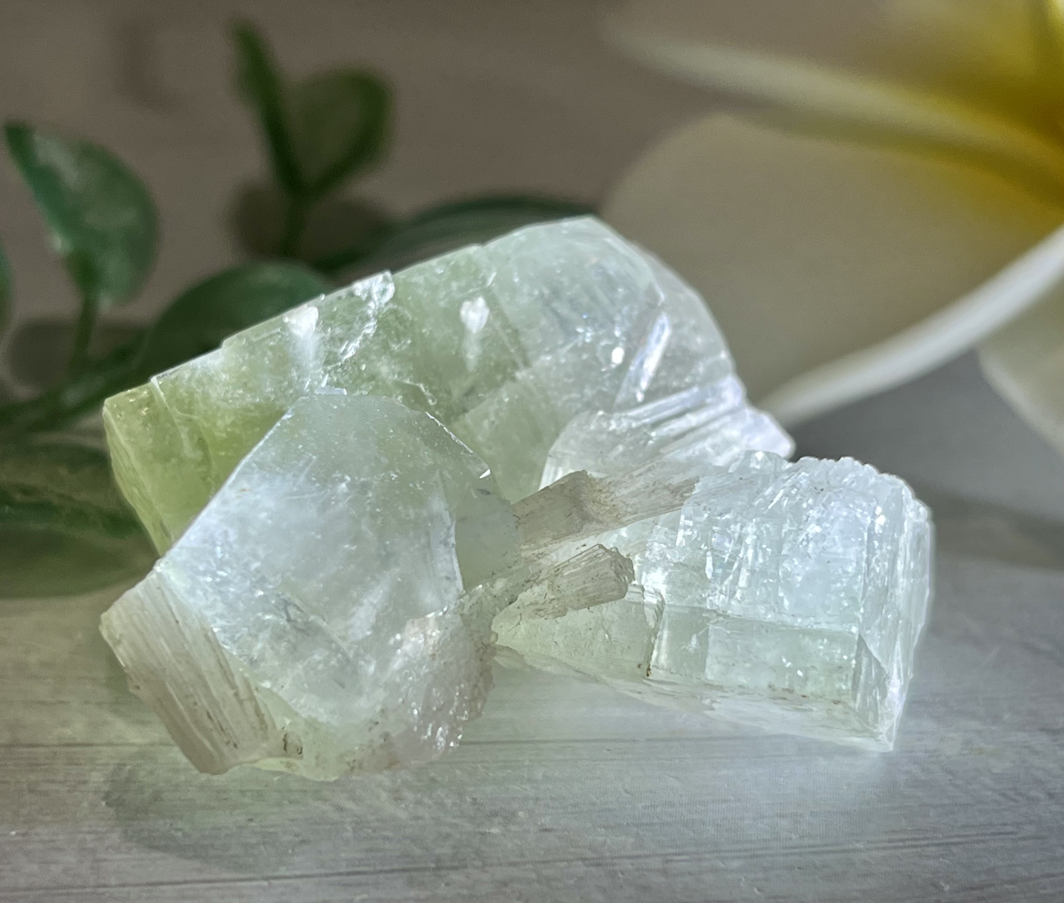 天使の水晶✨グリーンアポフィライト原石クラスター魚眼石