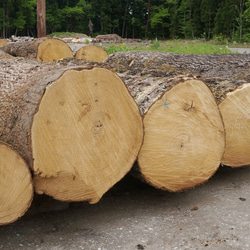 五月人形 木目込み人形 コンパクト 兜飾り「宝輝・粋 」焼き桐 四角形（小）　 6枚目の画像