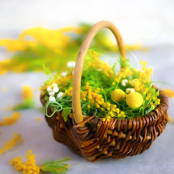 大人気*かご花*ミモザ*ドライフラワー*プリザーブドフラワー