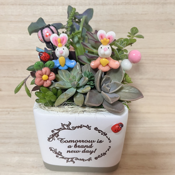 多肉植物寄せ植え〜樹脂粘土レジン(粘土細工)ガーデンピック…五