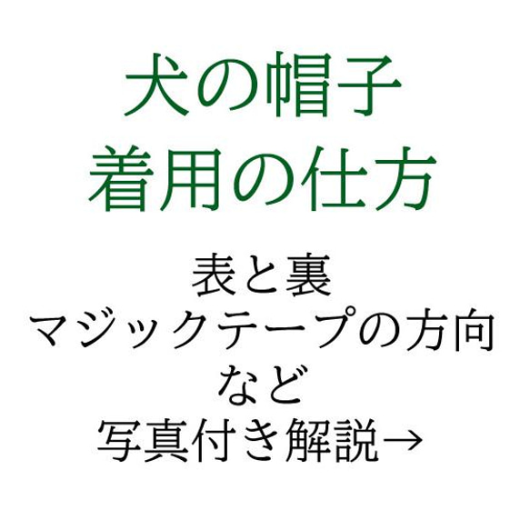 犬の帽子＊播州織cottonダンガリー　ブラウン（白ゴム）＊Mサイズ＝4㎏前後の小型犬用 3枚目の画像