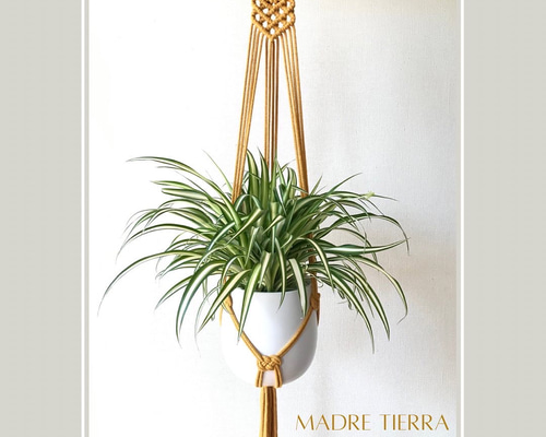 b1dc4e9f41c1a8350158fe62ad79ef