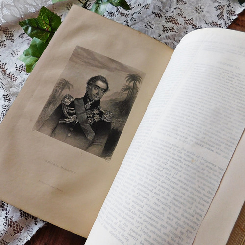 ゜+ 19世紀 フランスの歴史書 エレガントなアンティークブック