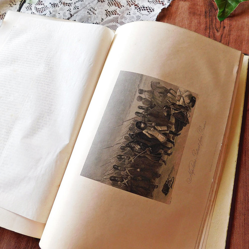 最新人気 white イギリスアンティーク フランスアンティーク book 洋書 洋書