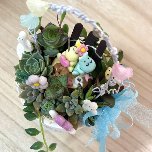 多肉寄せ植え✿くまちゃん✿そのまま飾れます 多肉寄せ植え✿くまちゃん✿そのまま飾れます 多肉寄せ植え✿くま