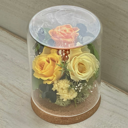 プリザーブドフラワー ガラスドーム アレンジメント プレゼント 母 女性 花●シランドルM 6枚目の画像