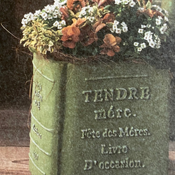 《可愛いBOOK 本型 陶器鉢 》多肉植物 お花の寄せ植えに ガーデニング ビオラ パンジーアンティーク 124 2枚目の画像