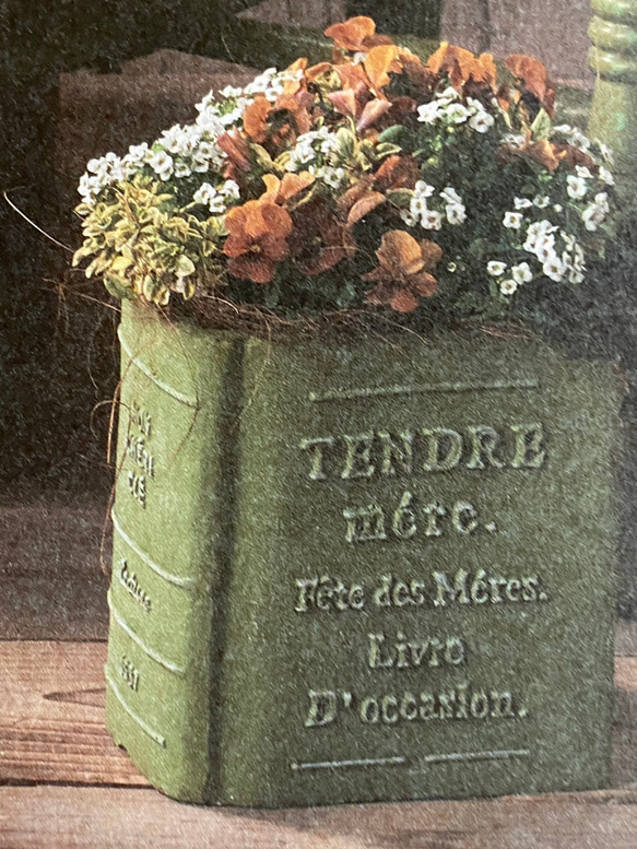 《可愛いBOOK 本型 陶器鉢 》多肉植物 お花の寄せ植えに ガーデニング ビオラ パンジーアンティーク 124 2枚目の画像