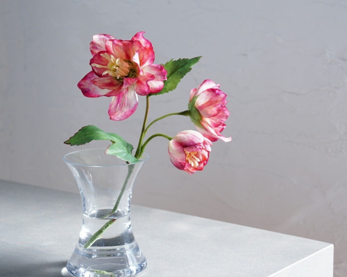 6cdfc624993801312f11b8940e8976