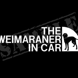 THE WEIMARANER IN CAR ステッカー（ワイマラナーVer.2）　5cm×17cm 1枚目の画像