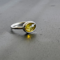 abdf55175dd35c490dc0383caf4052