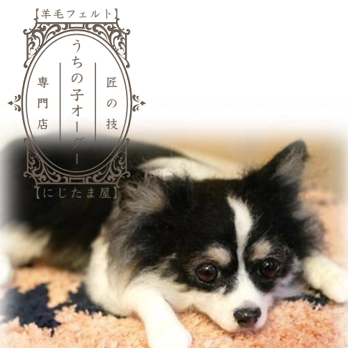 ★次郎らも★羊毛フェルト【チワワ×パピヨン】MIX犬　オーダー　マック