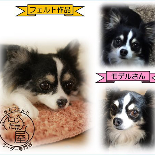 2024年秋冬新作 羊毛フェルトうちの子オーダー」犬 猫 ぬいぐるみ ﾘｱﾙ ﾍﾟｯﾄﾛｽ 羊毛フェルト