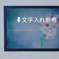 桜①　ポストカード　グリーティングカード　レターセット　花　春　写真　文字入れサービス有り 5枚目の画像