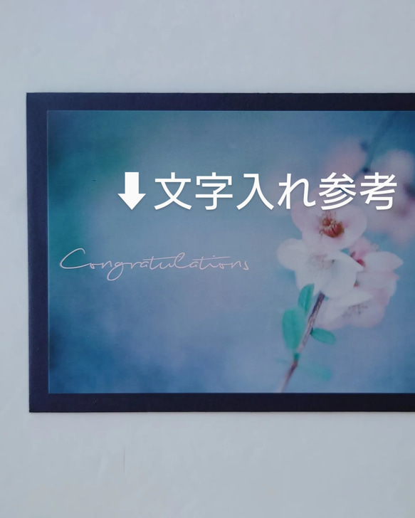 桜①　ポストカード　グリーティングカード　レターセット　花　春　写真　文字入れサービス有り 5枚目の画像