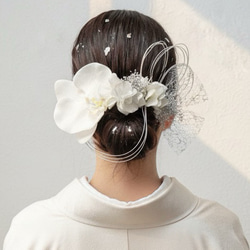 JunJunのヘッドドレス（頭飾り）DRー1 胡蝶蘭のヘッドドレス【A】 ヘッドドレス（アクセサリー） Suzumi 通販