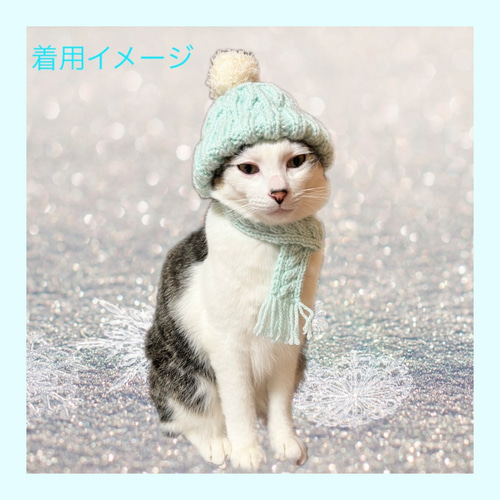 ファッションデザイナー 送料無料】猫用ニット帽&マフラーのセット ブルー ペット服 猫服・アクセサリー