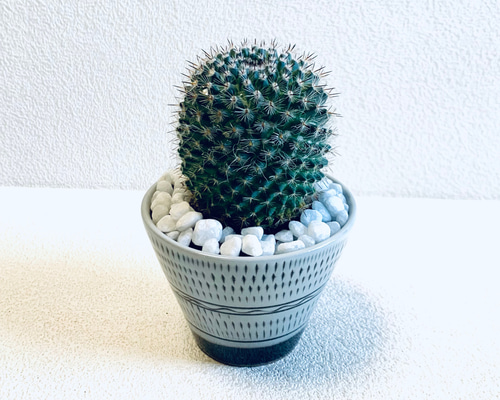 d0b37c7f69a549086c6d18a8a38e7d