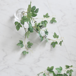 【枯れない観葉植物】実付き☆アイビーのツルのウォーターアレンジ／clayガラス使用・観葉植物 5枚目の画像