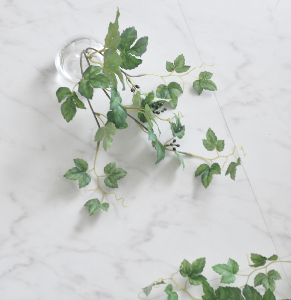 【枯れない観葉植物】実付き☆アイビーのツルのウォーターアレンジ／clayガラス使用・観葉植物 5枚目の画像