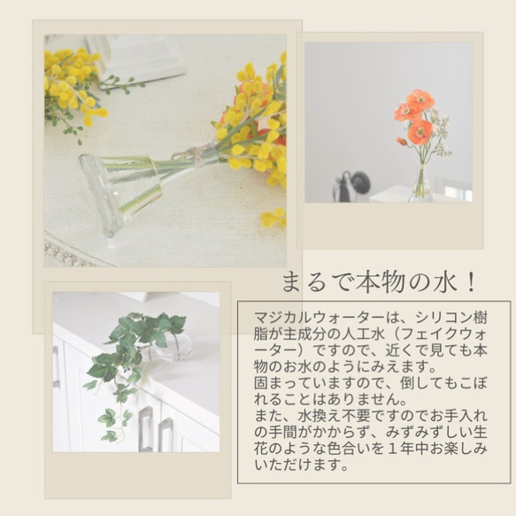 【枯れない観葉植物】実付き☆アイビーのツルのウォーターアレンジ／clayガラス使用・観葉植物 9枚目の画像