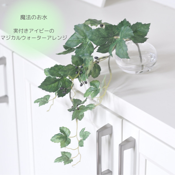 【枯れない観葉植物】実付き☆アイビーのツルのウォーターアレンジ／clayガラス使用・観葉植物 1枚目の画像