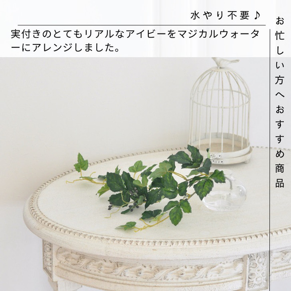 【枯れない観葉植物】実付き☆アイビーのツルのウォーターアレンジ／clayガラス使用・観葉植物 2枚目の画像